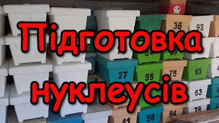 Підготовка турецьких нуклеусів ARIKENT до сезону / FABRO