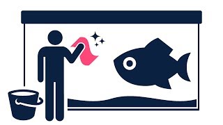 How to Clean a Fish Tank | 4 Easy Water Change Methods to Try Out