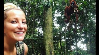 Sumatran Orangutans & the Palm Oil Industry