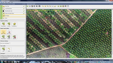 Oil Palm Tree counting - Trimble eCognition