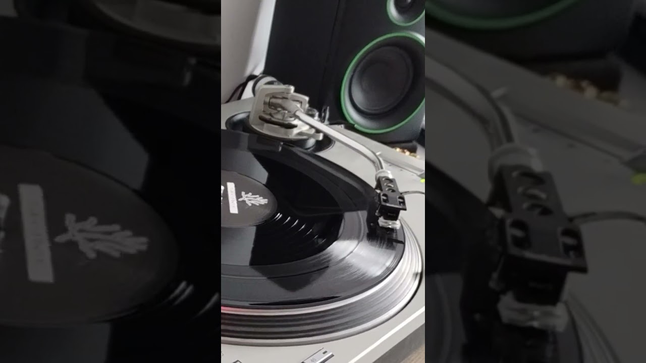 Haida (Plantpower records) Dubstep vinyl 2025