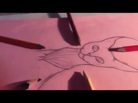 Video: Kako Crtati Risa