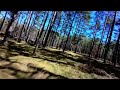#DJI #Neo Leśny freestyle ;) 