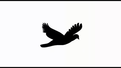 Animation in photoshop in hindi