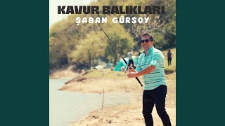 Kavur Balıkları Resimi