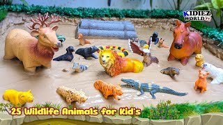 Carnivore Animals for Kids! Horse & Reindeer Meet Lion, Tiger, Fox & More in Muddy Adventure