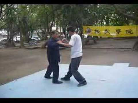 Mr. Wang Chieh's Push Hands Demo