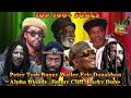 Peter Tosh,Bunny Wailer,Eric Donaldson,Alpha Blondy,Jimmy Cliff,Lucky Dube: 100  Songs