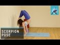 Dolphin into Scorpion Pose, Yoga tutorial with MacKenzie Miller