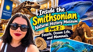 INSIDE THE SMITHSONIAN NATURAL HISTORY MUSEUM PART 2 | FOSSILS, OCEAN LIFE & MAMMALS