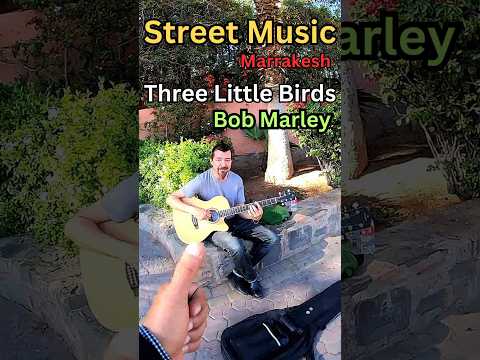 لحظات فنية أداء أغنية ثلاثة طيور صغيرة لبوب مارلي Three Little Birds By Bob Marley Shorts