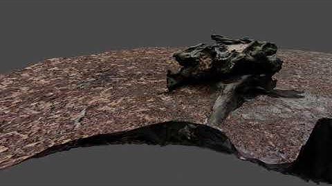 Santa Cruz tree stump 3D scan