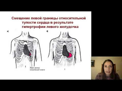 Пропедевтика внутренних болезней 3.Обследование и синдромы поражения сердечно-сосудистой системы