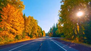 Rainy Autumn Drive Through Oregon in 4K | Slow Motion Roads, Fall Colors & Cinematic Music - #1 screenshot 5