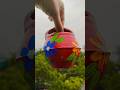Cute Clay Pot Painting ❤️💚 #shorts #clay #clayart #viralvideo #painting #trending #shortsfeed