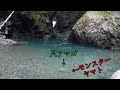 ヒットした尺アマゴに襲いかかるモンスターヤマトイワナ