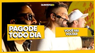 VOCE VAI VOLTAR COVER PAGODE TODO DIA QUINTETO S A 256