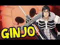 THE FULLBRINGERS: Ginjou Kugo - Bleach Discussion | Tekking101