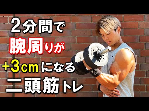【効果絶大!!】たった2分であなたの腕を確実にデカくする6種目最強トレーニング【効きすぎ注意】