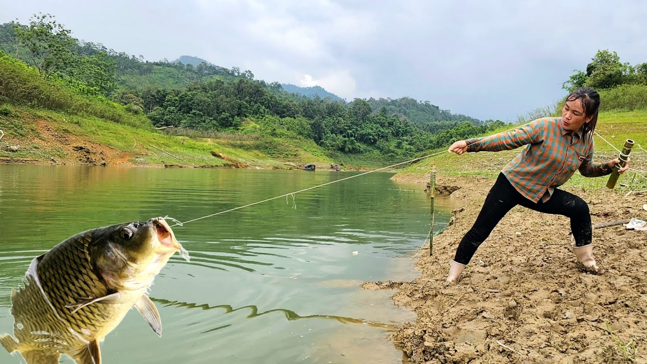 Single Mom's Fishing Skills - Ancient Fishing Techniques to Harvest Giant Carp for Sale