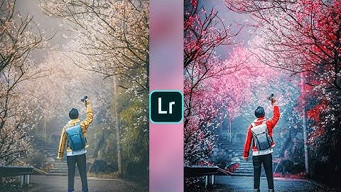 Lightroom red and blue effect photo editing tutorial | lightroom background colour change preset