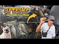 BIRD SALE HULONG DUHAT MALABON SEPT 27, 2025