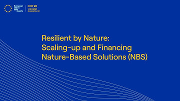 Resilient by Nature: Scaling-up and Financing Nature-Based Solutions (NBS) (GMT Time)