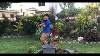 ILYSB (Lany) - Violin Cover by Wency Ramos