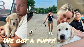 VLOG: picking up our golden retriever puppy!!!