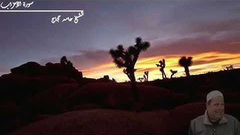 سورة الأحزاب - الشيخ حامد حجاج (المقطع الثالث(