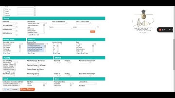 How to set up your Auto Email in Bright