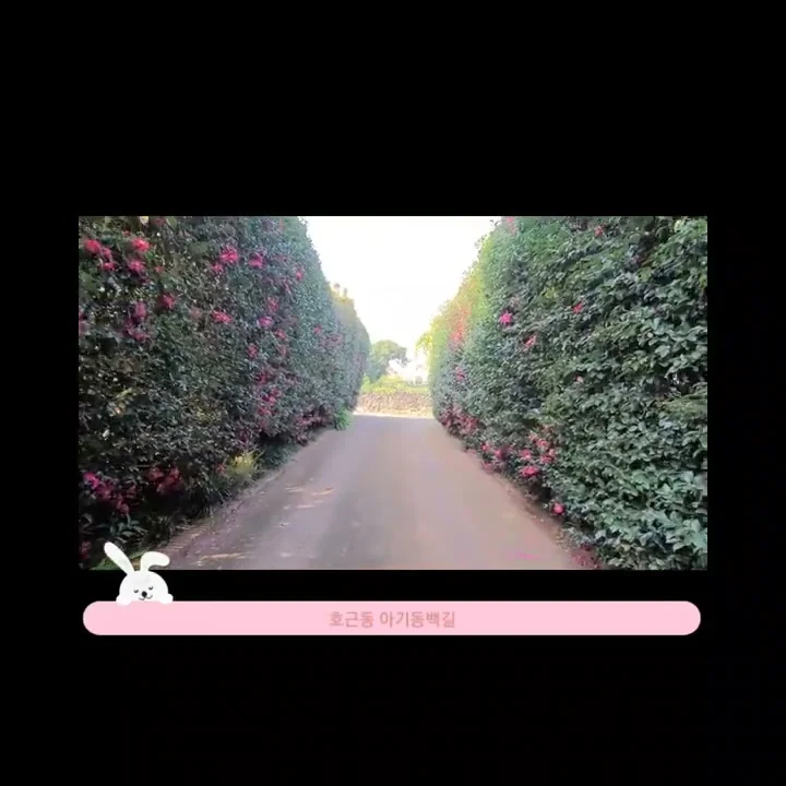 왕왕작작오누이 - YouTube 왕왕작작오누이