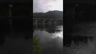 lago pullingue ,leandro 2021