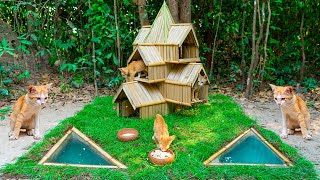 Rescue Kitten Cat and Building Bamboo Cat House
