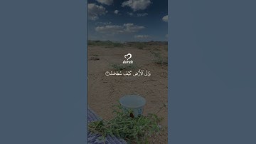 أَفَلا يَنْظُرُونَ إِلَى الإِبِلِ كَيْفَ خُلِقَتْ||سورة الغاشيه#عبدالرحمن_مسعد
