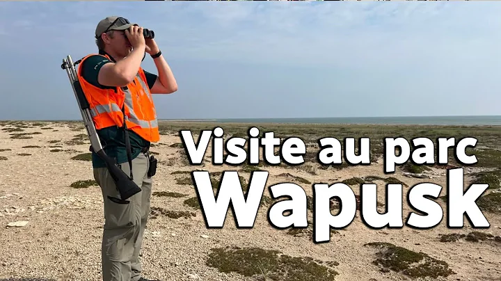 Expédition scientifique au parc Wapusk