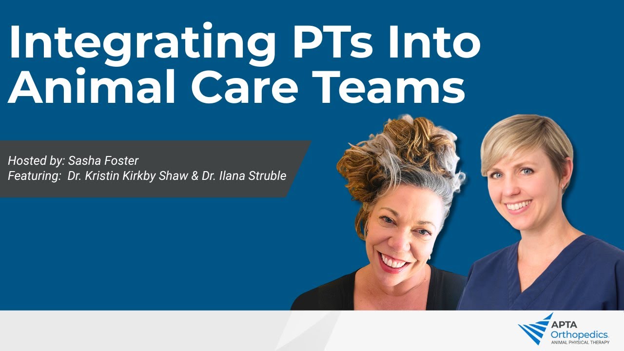 Understanding the Veterinary Ecosystem: Integrating Physical Therapists Into Animal Care Teams