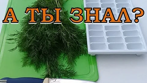 Как СОХРАНИТЬ УКРОП на зиму? Самые лучшие, проверенные способы