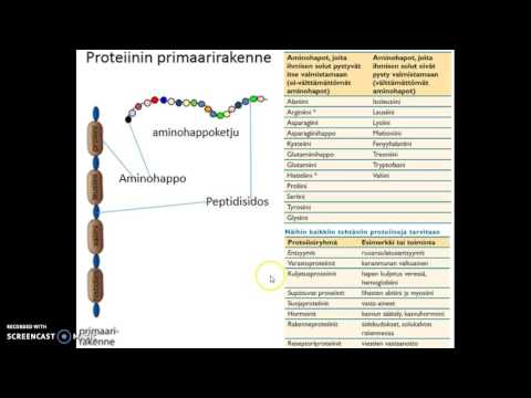 Video: O -GlcNAc-profilointi: Proteiineista Proteomeihin