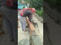 #mistri #construction #house #home #building #working #work #hardwork #jksmistri #shorts