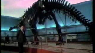 Espn Sportcenter Intro - May 1986