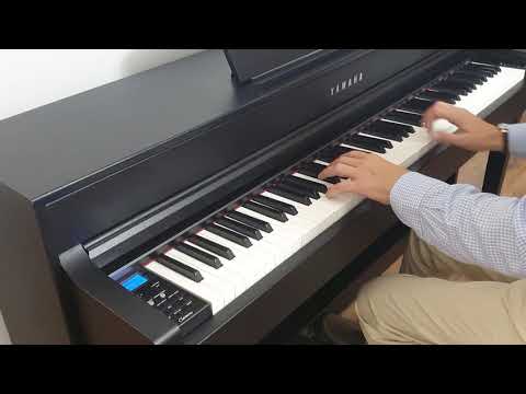 زوجات صغيرات لعمر خيرت عزف يحيى نصر