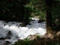 Miniature de la vidéo de la chanson Si La Garonne Elle Avait Voulu