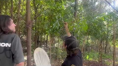 BIOL2205 cohort video Sem 2, 2025