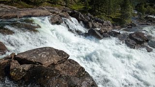 Relaxing Rain & Soothing River Sounds Near a Beautiful Waterfall in the Rocky Mountains - 10 Hours
