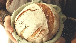 NoKnead Whole Wheat Bread | Quick and Easy Artisan Bread | Crusty & Soft Bread