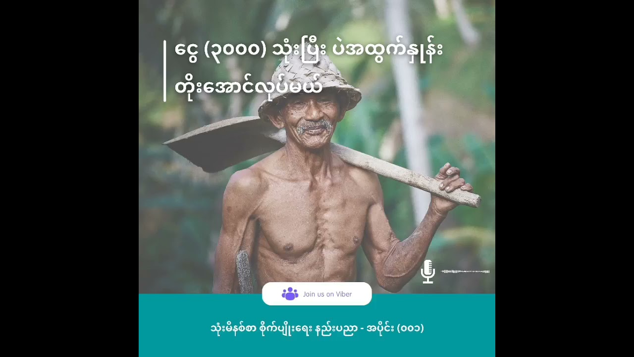 ငွေ (၃၀၀၀)ကျပ်ခန့် သုံးစွဲရုံဖြင့် ပဲအထွက်နှုန်း (၂၀%)အထက်ပိုမည့် အပင်ပြုစုနည်း