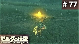 jin さま専用⠀】ゼルダの伝説 ブレスオブザワイルド、星の