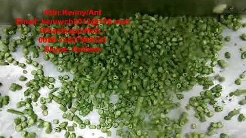 CH-20 green bean cutting slicing machine, celery cutter slicer