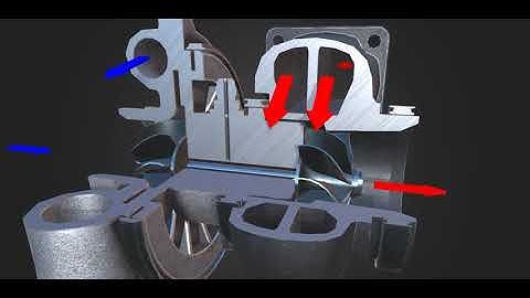 Turbo 3D model Animation Video